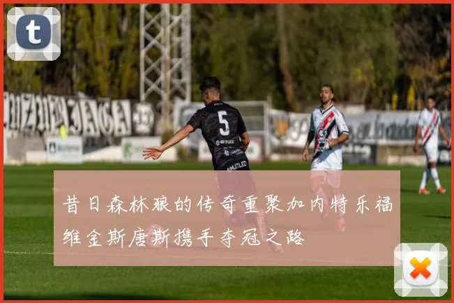 昔日森林狼的传奇重聚加内特乐福维金斯唐斯携手夺冠之路