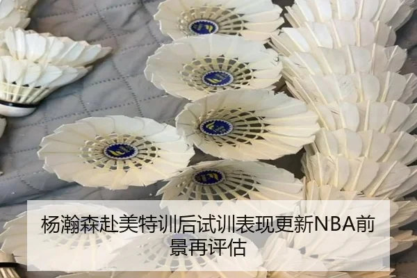 杨瀚森赴美特训后试训表现更新NBA前景再评估